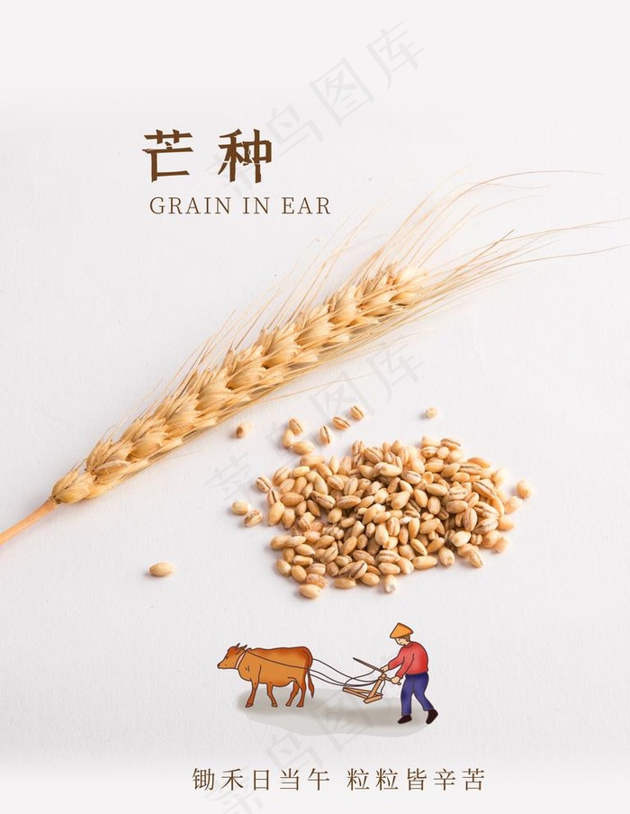 芒种图片(4724X6299(DPI:200))psd模版下载