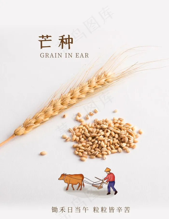 芒种图片(4724X6299(DPI:200))psd模版下载