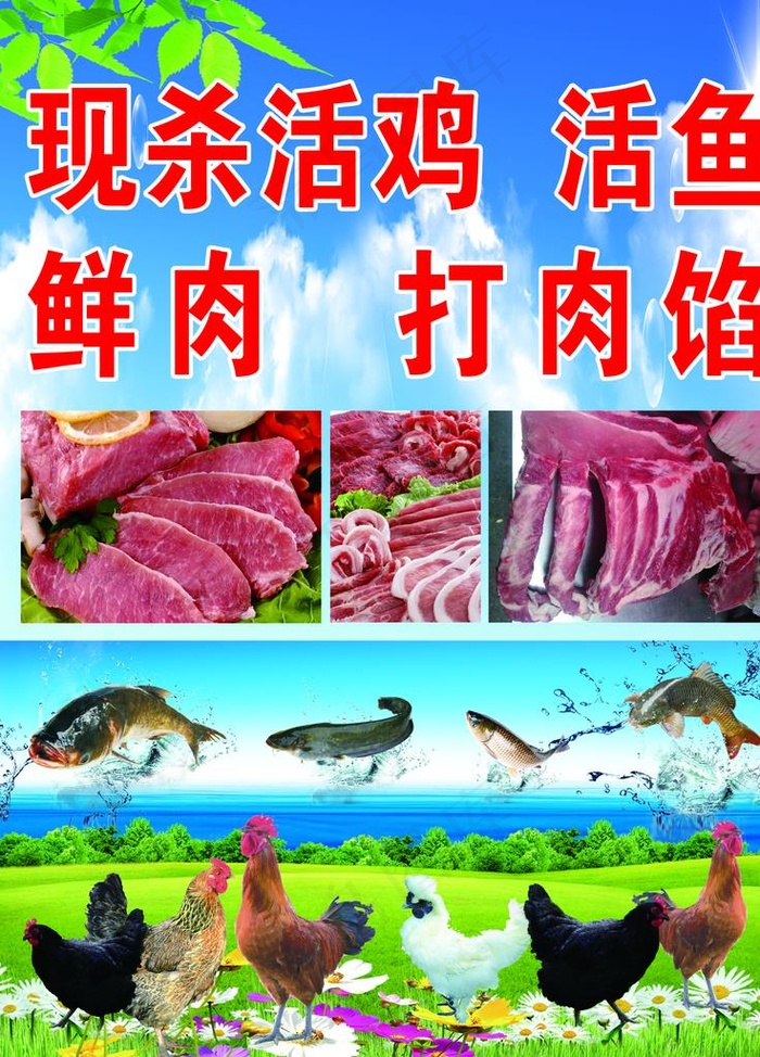 活鸡 活鱼 鲜肉图片(4724X6299(DPI:80))psd模版下载