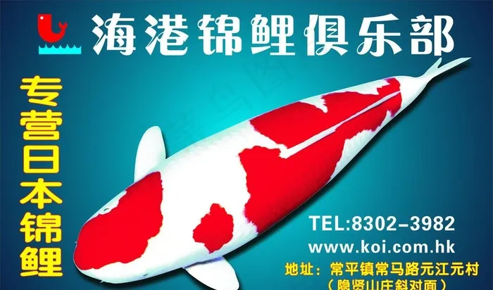 海港锦鲤俱乐部图片cdr矢量模版下载