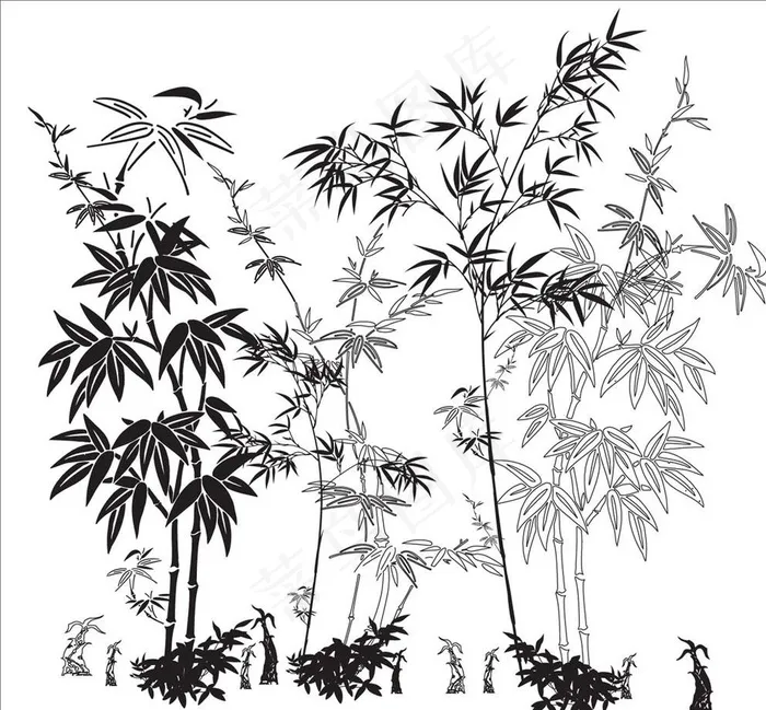 竹子与竹笋图片ai矢量模版下载