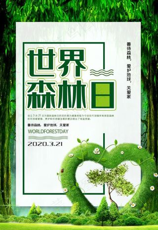 世界森林日图片