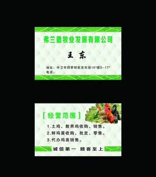 鸡名片图片