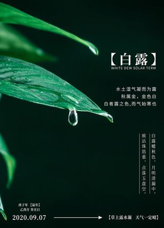 白露图片