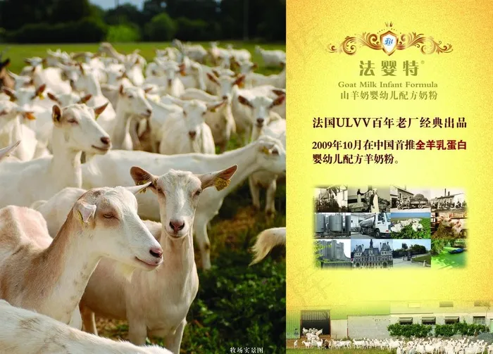 法婴特羊奶粉图片(4724X3543(DPI:300))psd模版下载