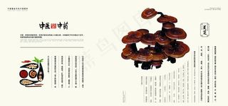 中国风中式中医医药传统文化画册图片