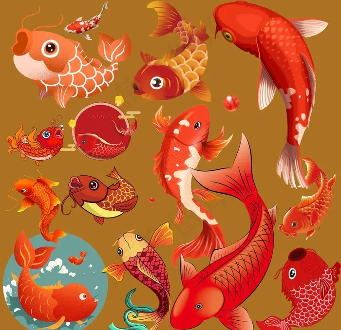 鱼图片psd模版下载