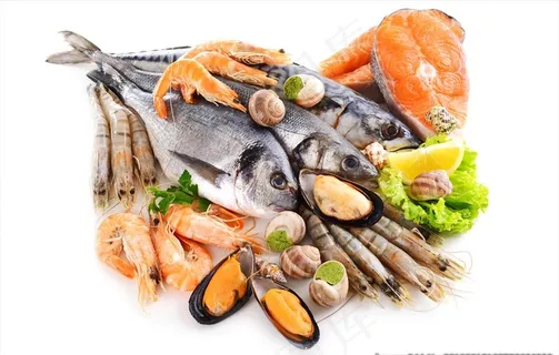 新鲜的海鲜食材图片 新鲜的海鲜食材图片