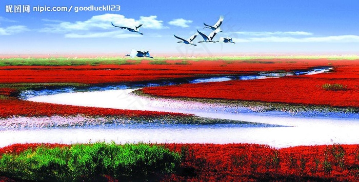 红海滩图片