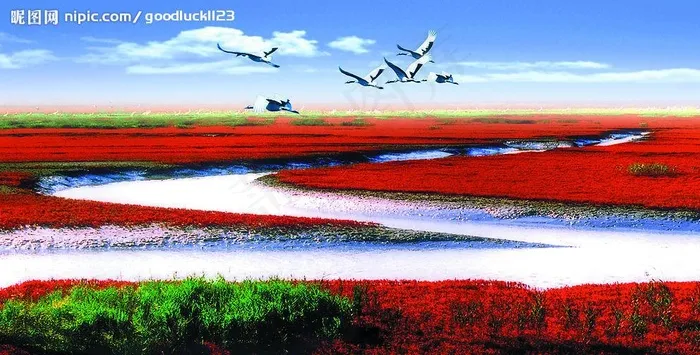 红海滩图片