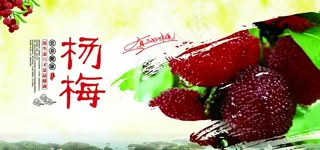 杨梅图片
