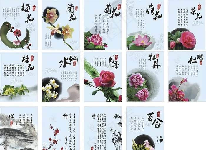 中国十大名花古风图片(400X1000)cdr矢量模版下载