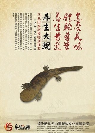 养生大鲵 娃娃鱼 菜单图片