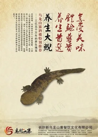 养生大鲵 娃娃鱼 菜单图片