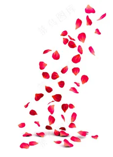 飘落的花瓣图片