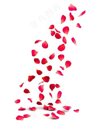 飘落的花瓣图片