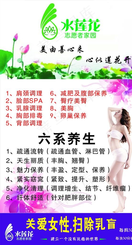 水莲花 养生图片