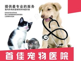 宠物医院图片