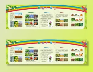植物小知识学校农场橱窗图片