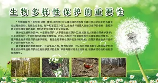 保护生物的重要性图片
