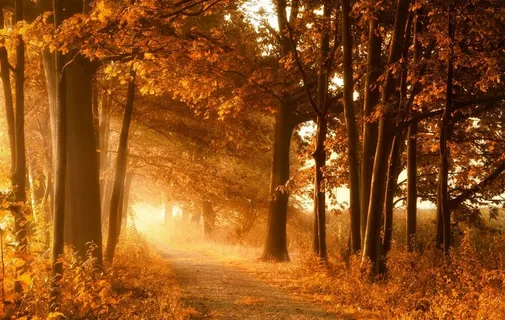 秋天风景图片 秋天风景图片