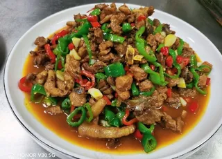 新疆芦花鸡图片