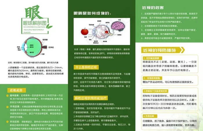 近视科普三折页图片(5008X3390(DPI:300))psd模版下载