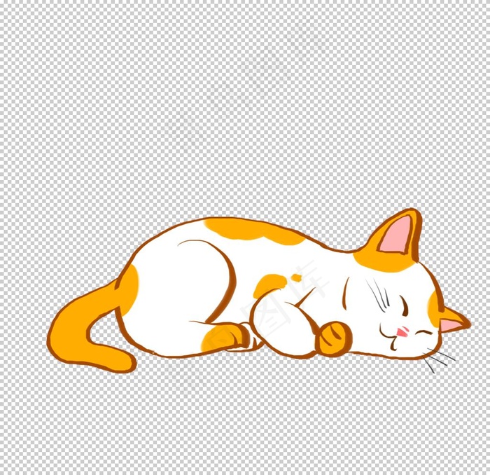 猫图片