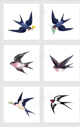 燕子小燕子素材春天燕子雨燕图片