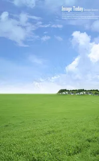 绿色草原图片 绿色草原图片