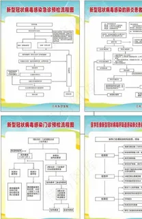新型冠状病毒处理流程图图片