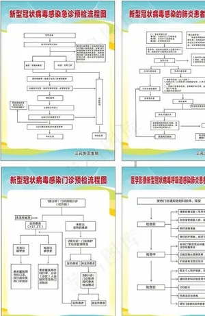 新型冠状病毒处理流程图图片
