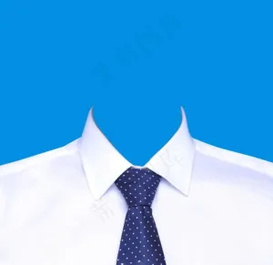 男装领带蓝底证件照图片
