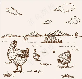 手绘农场里的母鸡图片