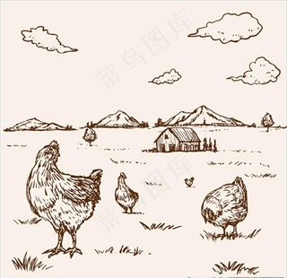 手绘农场里的母鸡图片