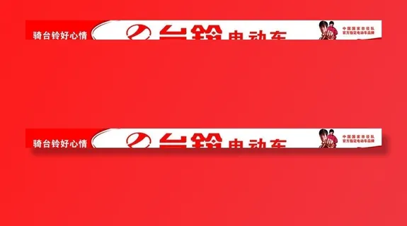 台铃电动车图片