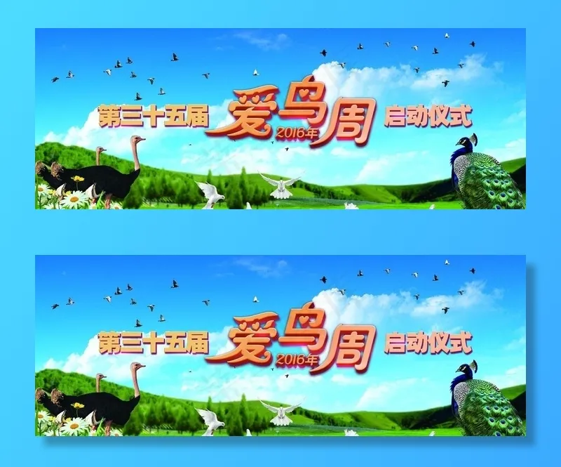 爱鸟周 舞台背景图片(5900X2360(DPI:300))psd模版下载