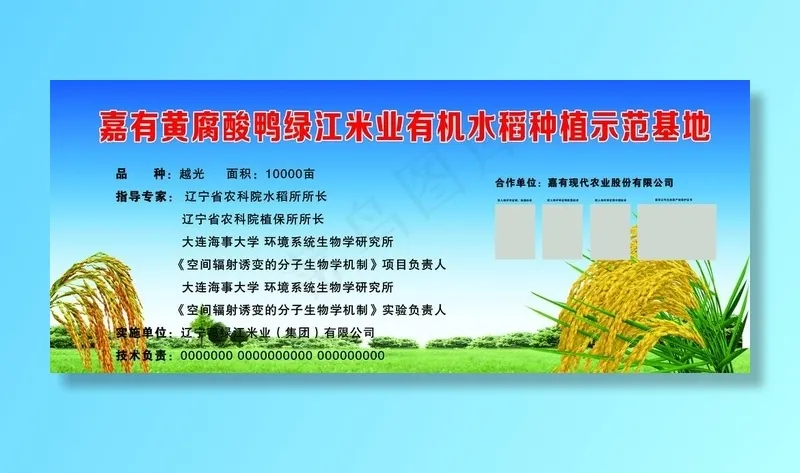 蓝天白云草地图片(7874X3543(DPI:50))psd模版下载