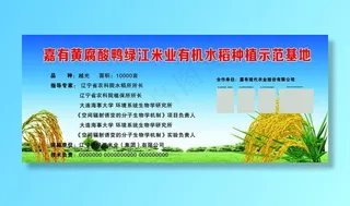 蓝天白云草地图片