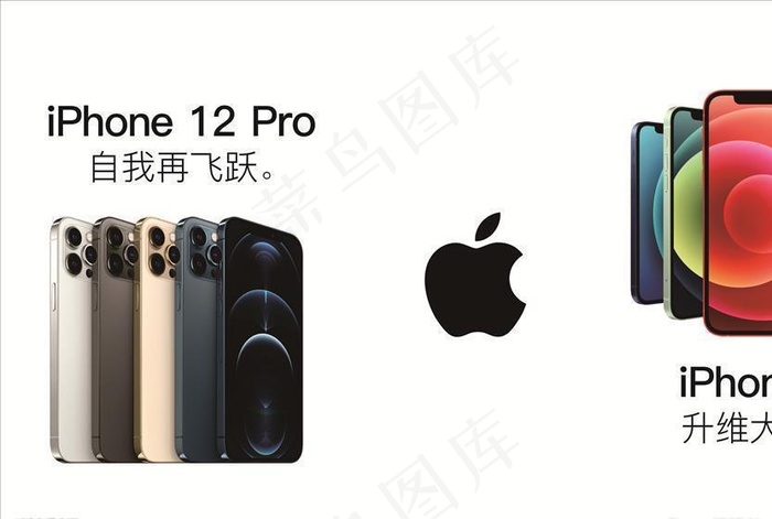 苹果12海报图片