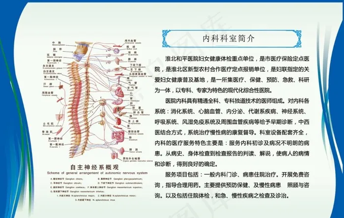 神经科展板图片psd模版下载
