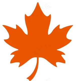 矢量枫树叶图片