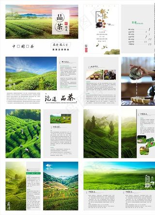 茶叶画册图片