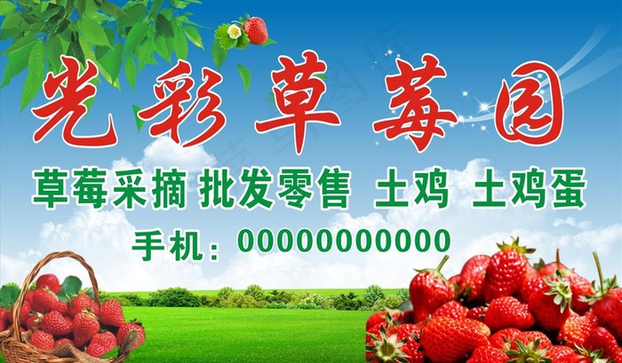 草莓采摘园图片(210X297)cdr矢量模版下载