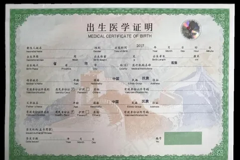 出生医学证明样板图片