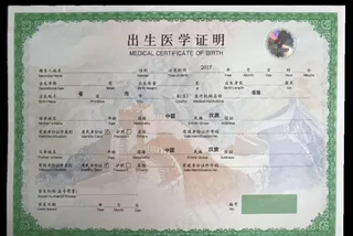 出生医学证明样板图片