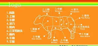 牛肉分割图图片