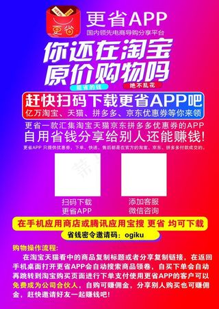更省 APP 彩页 宣传单设图片