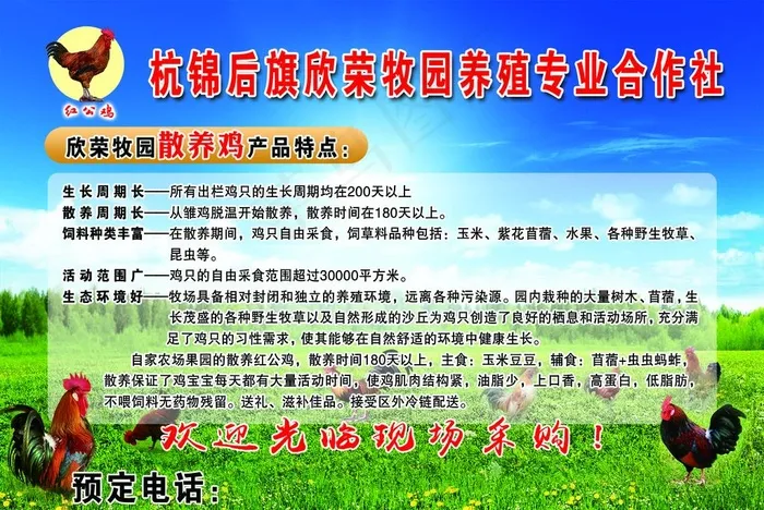 养鸡场图片psd模版下载