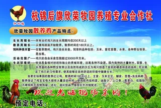 养鸡场图片